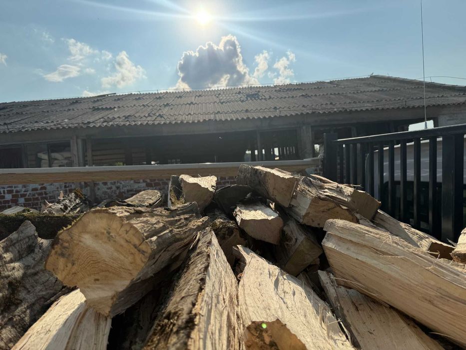 Lemn de foc fag-carpen cu livrare în Harghita