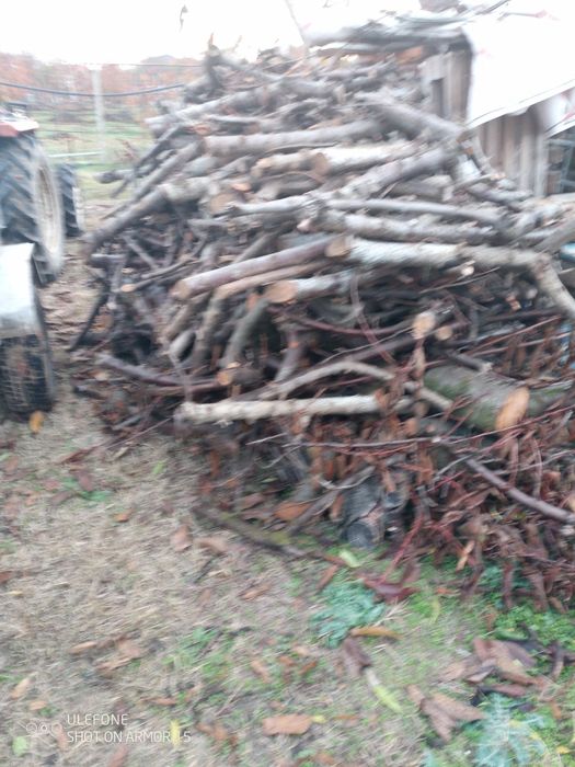 Дърва за огрев. От изкарани череши