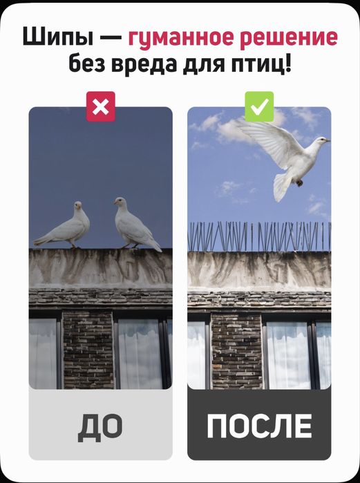 Шипы от птиц противоусадочные