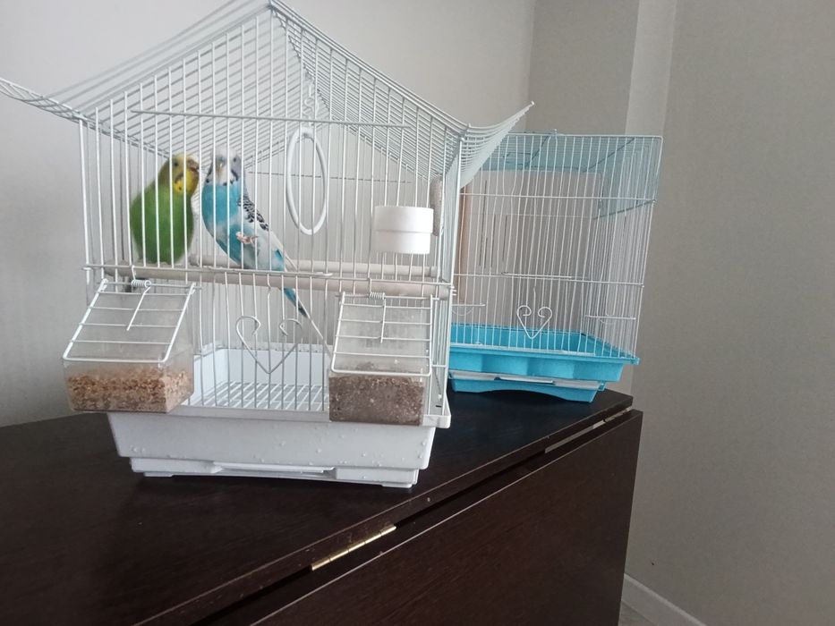 Продам клетку для попугаев