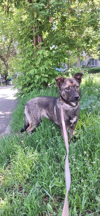 Девочка в ответственные руки