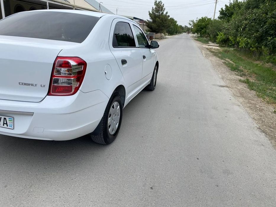 Tez va arzon narxda