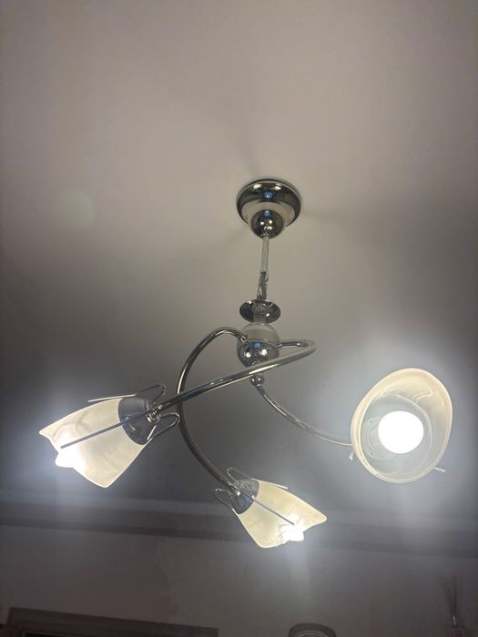 Два броя полилеи