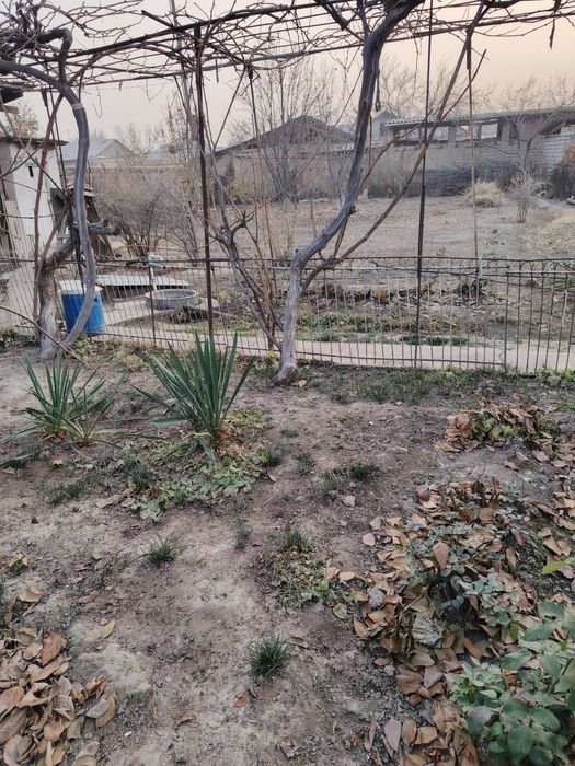 Продаётся дом с участком (Ташморе)