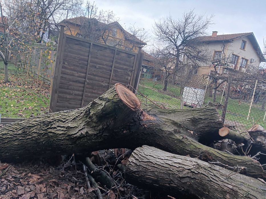 Продава се орех!