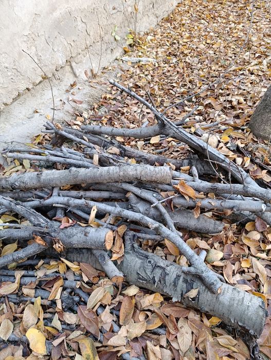 У́тин сотилади.Продоется дрова