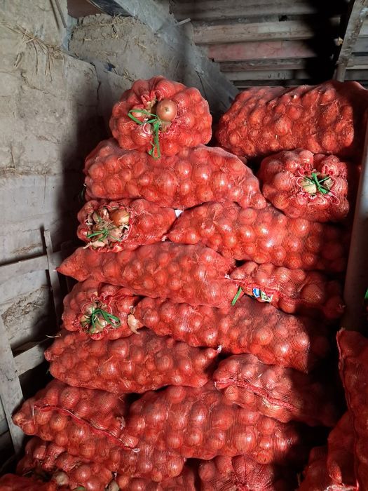 Лук продается мешками