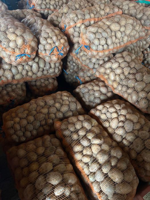 Vând cartofi albi de consum