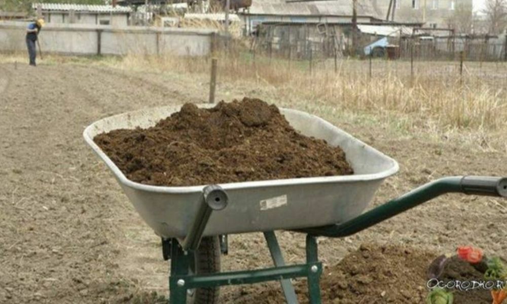 Помет для огорода