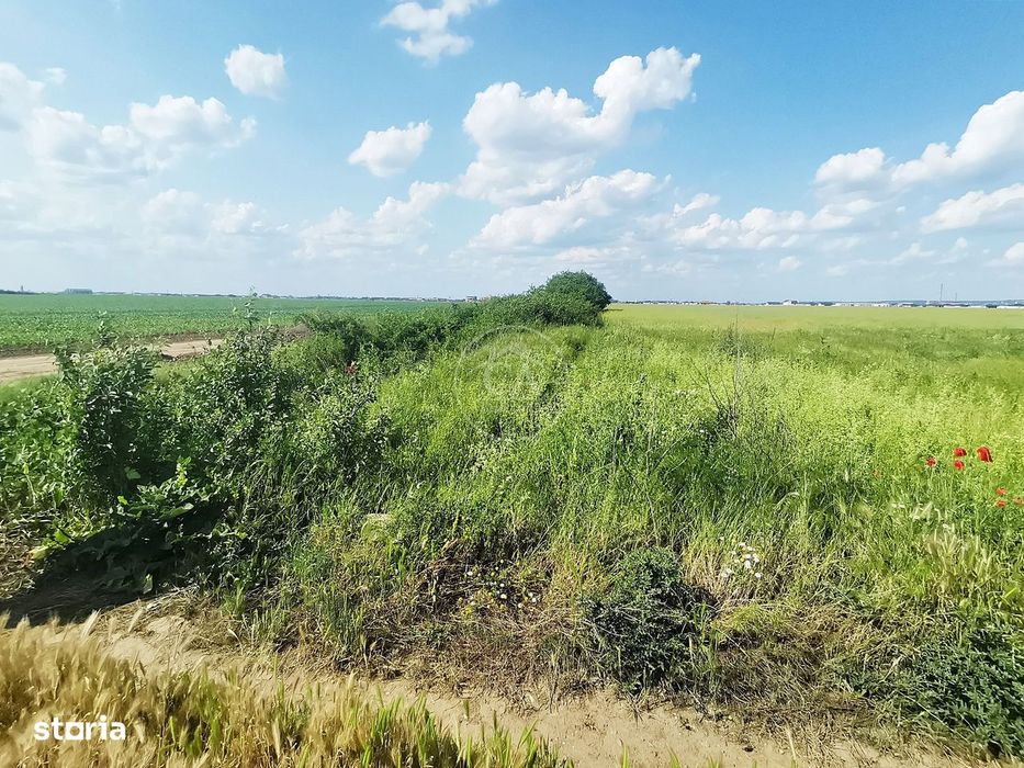 Teren intravilan de vânzare in Santandrei, Bihor