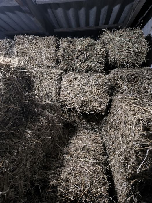 Соянын Сабаны Сатылады.