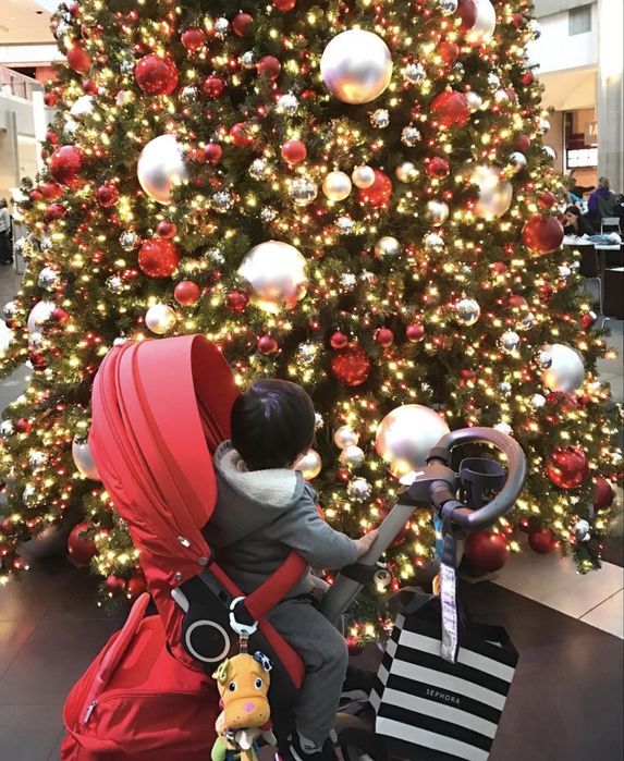 Коляска stokki  explory