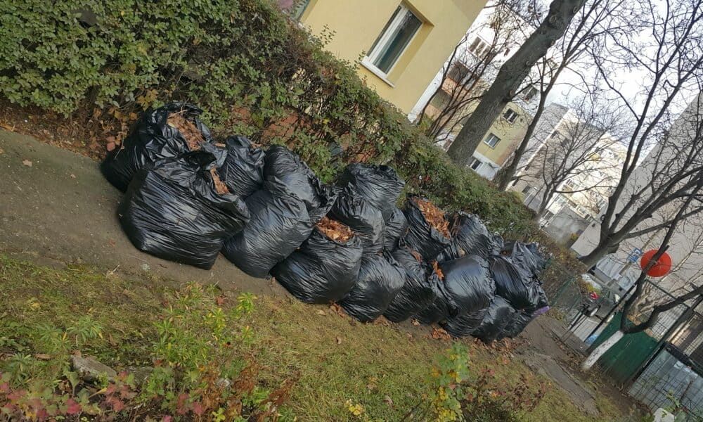 Oferim servici debarasari si demolari