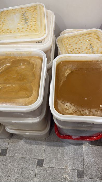 Мед Алтай разные сорта