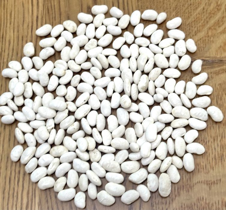 Fasole boabe romaneasca (fierbe foarte bine)2025 calitatea 1