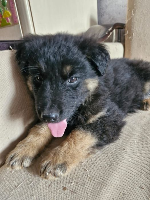 Замечательный мальчик