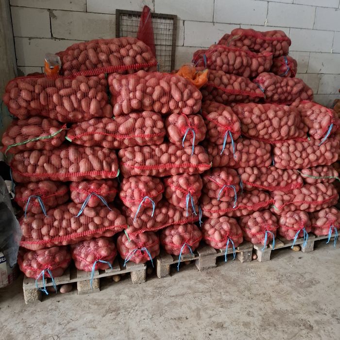 Cartofi de consum alb și roz