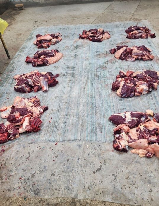 Соғым жілік 2700тг кун сайын