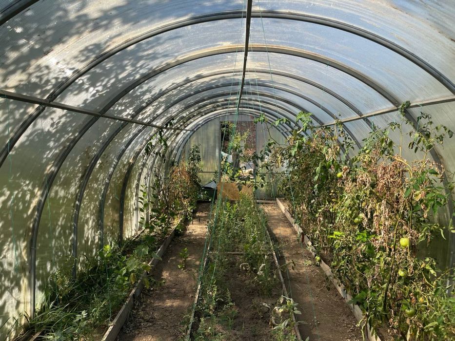 Теплица в хорошем состоянии