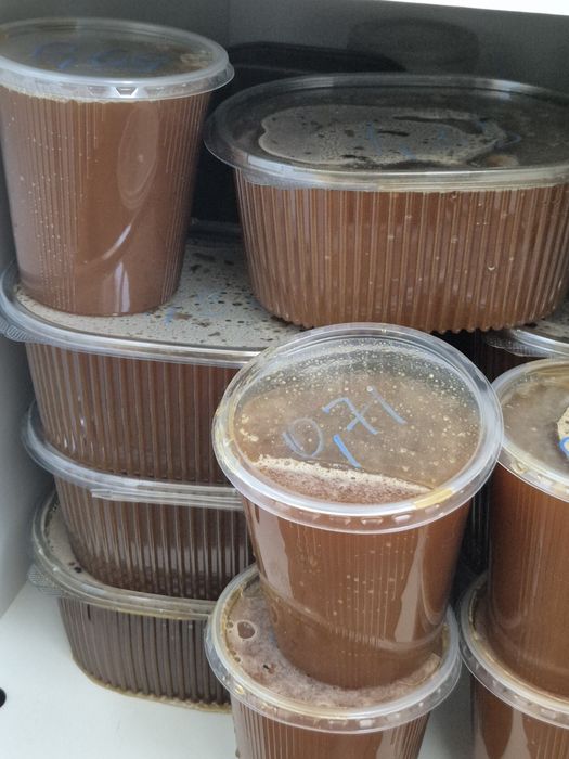 Продам свежий мед