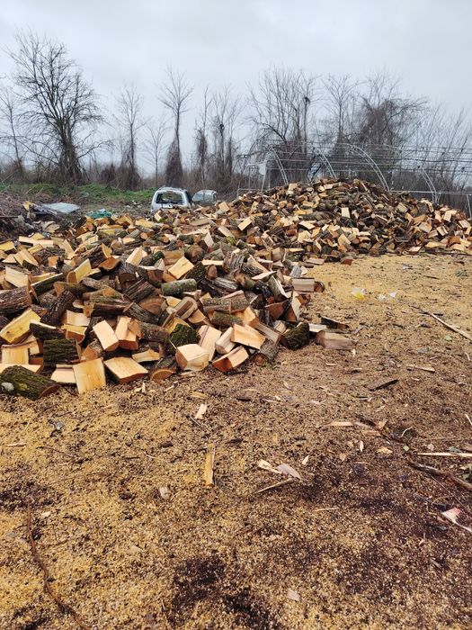 Предлагаме дърва за огрев!