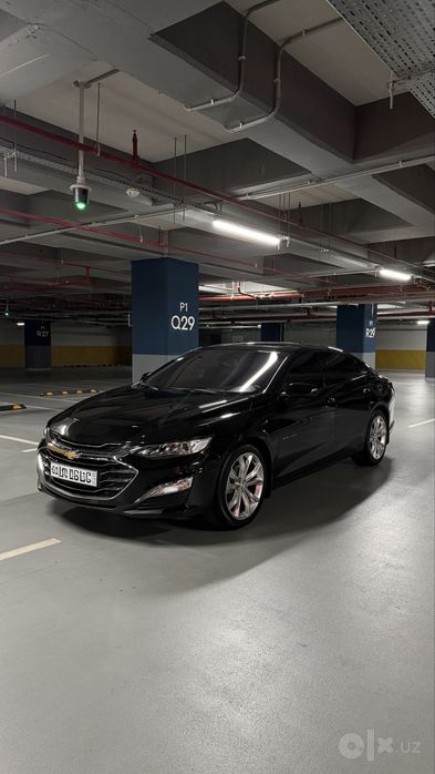 Malibu Premier qora