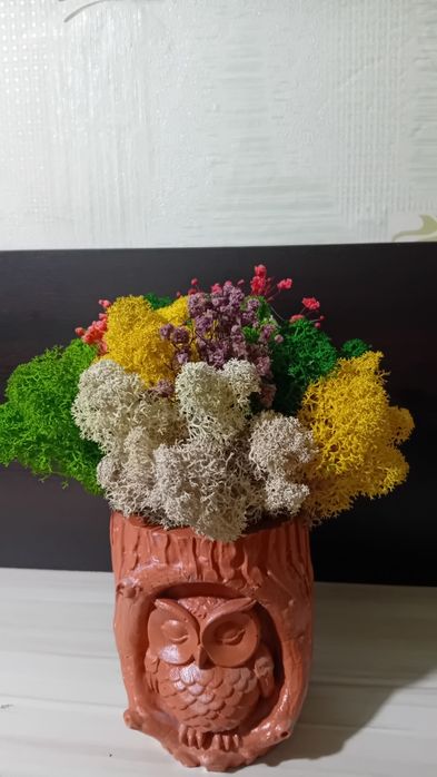 Кашпи със скандинавски мъх