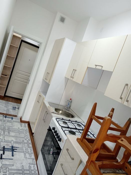 1 комнатная с мебелью и техникой в новостройке