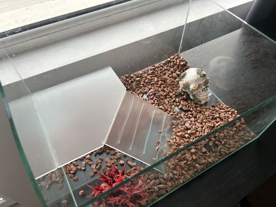 Стъклен аквариум