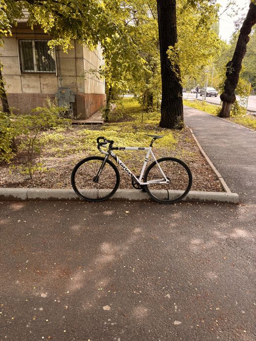 fixed gear Gray Team фикс грей