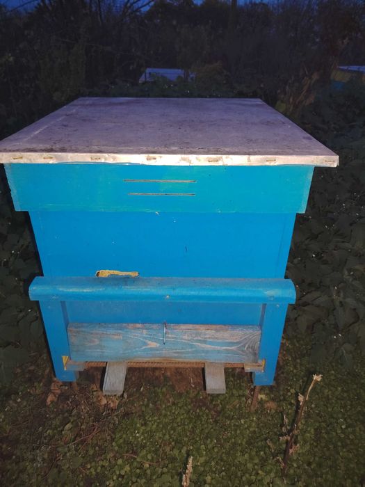 Кошери с по два магазина