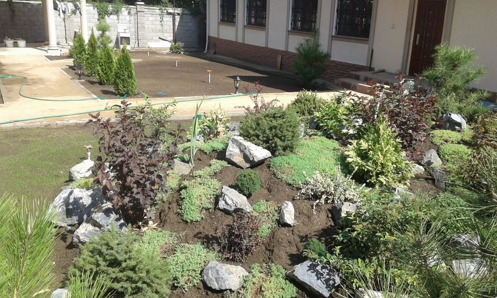 Рулонный газон, газон под ключ