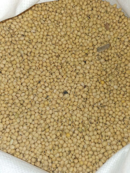 Продам пищевую сою