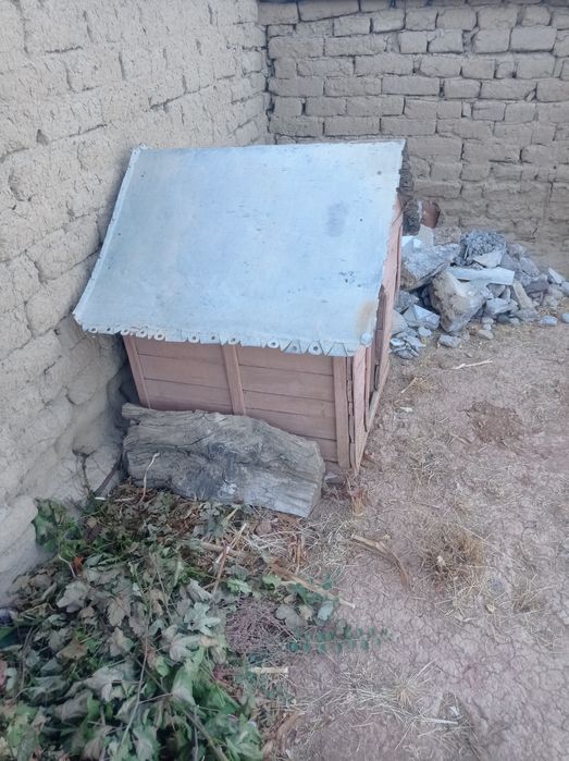 Бутка для собак.