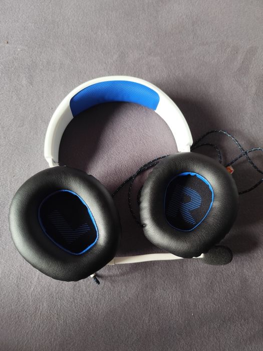 JBL Quantum 100P