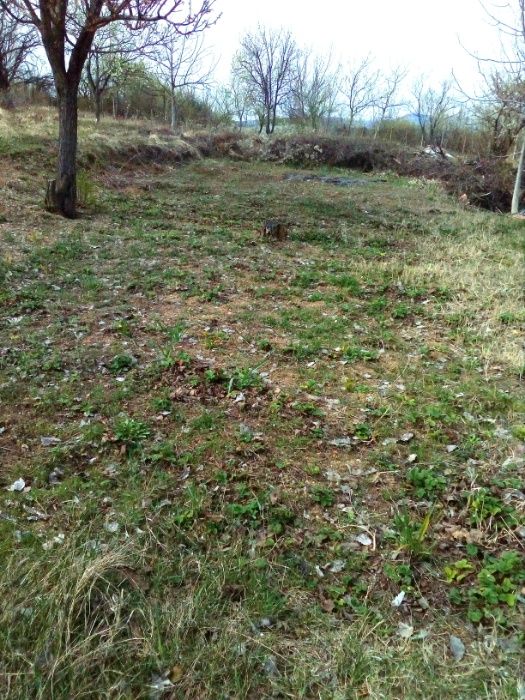 Продава се Къща в Ловеч, Младост - 30 кв.м за 349 €/кв.м - Снимка #5