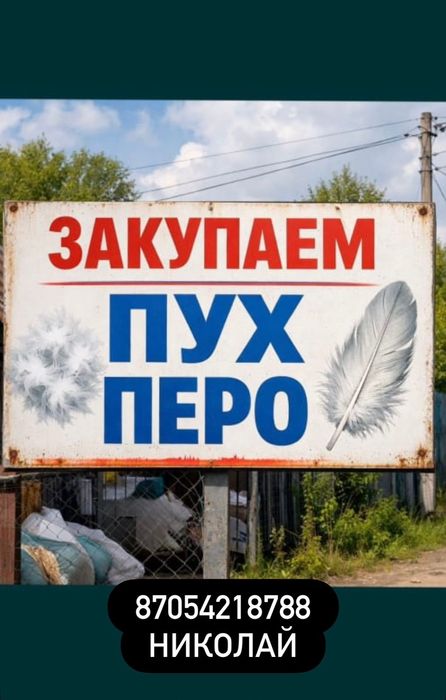 Пух перо гуси утке