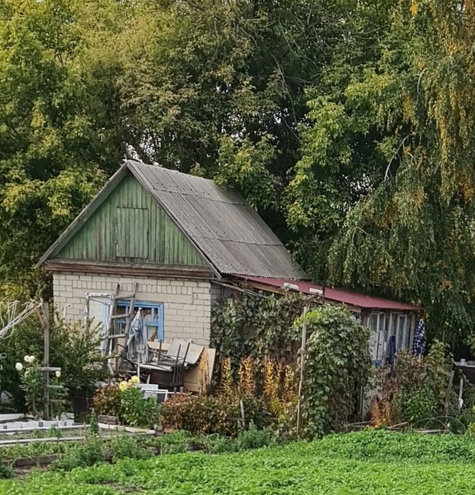 17 дачи, 3 общество