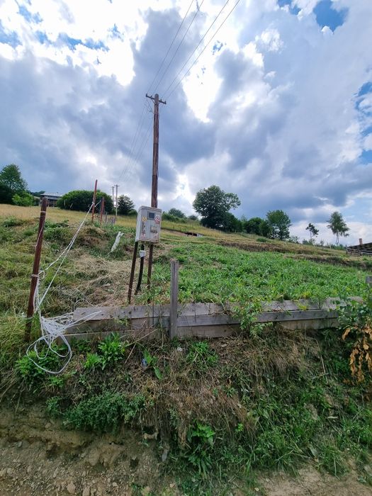 Vand teren intravilan Păltinei