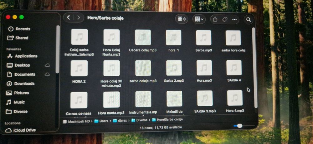 Vând hore & sarbe de la formații live  pentru DJ