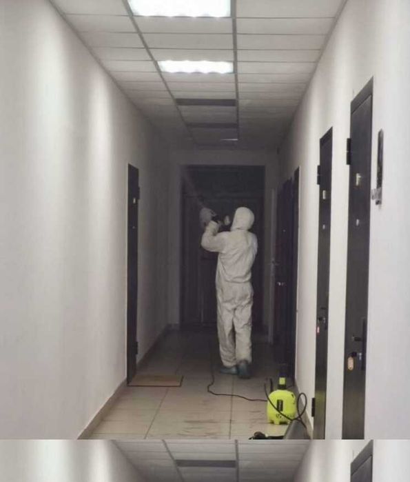 Профессиональная Дизинфекция от Клопов Таракан Dezinfeksiya хизмати