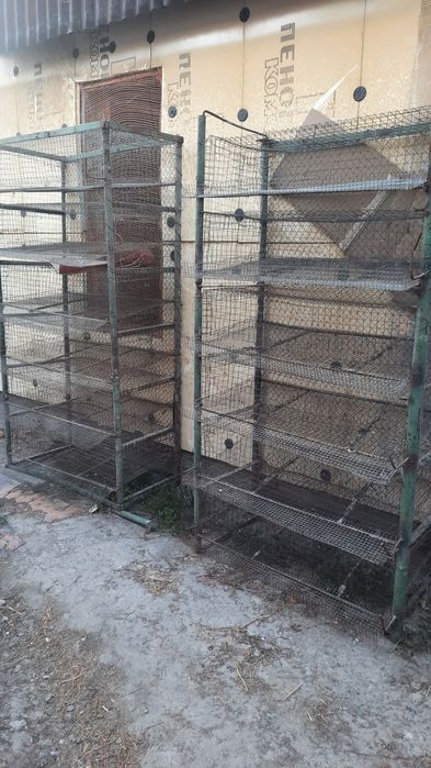 Продам сетка для перепелка