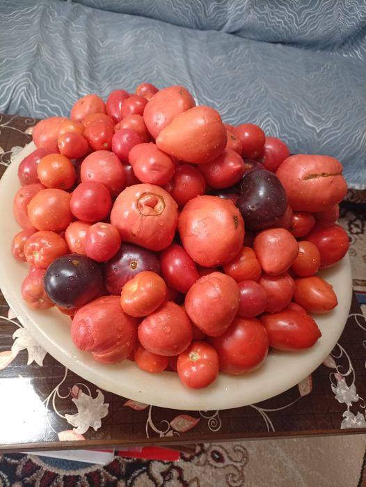 Аджика ( Огонёк )