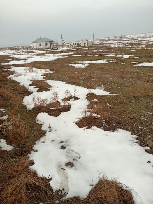 Фазенда туркестански облыс.шаян