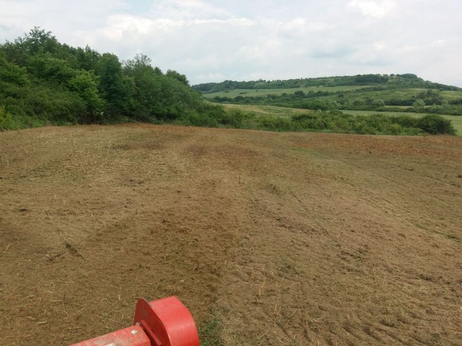 Curățat igienizat  defrisat teren teren sau pășune pasuni tuns gazon