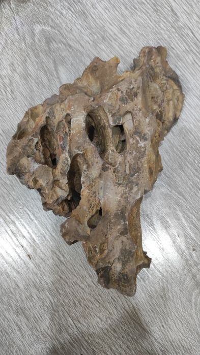 Драконый камень для аквариума 2 шт