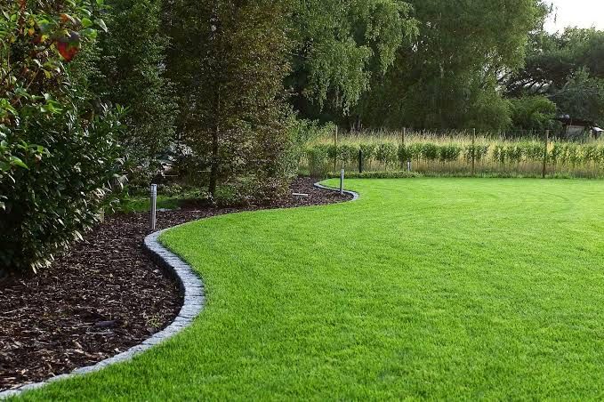 Газон егемиз кв/м 1000 тг