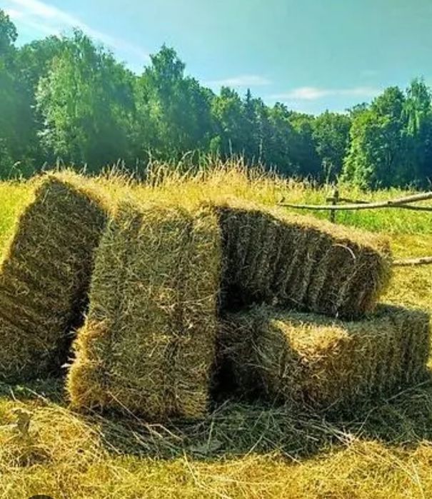 Клевер в тюках.  Жоңышқа сатамын