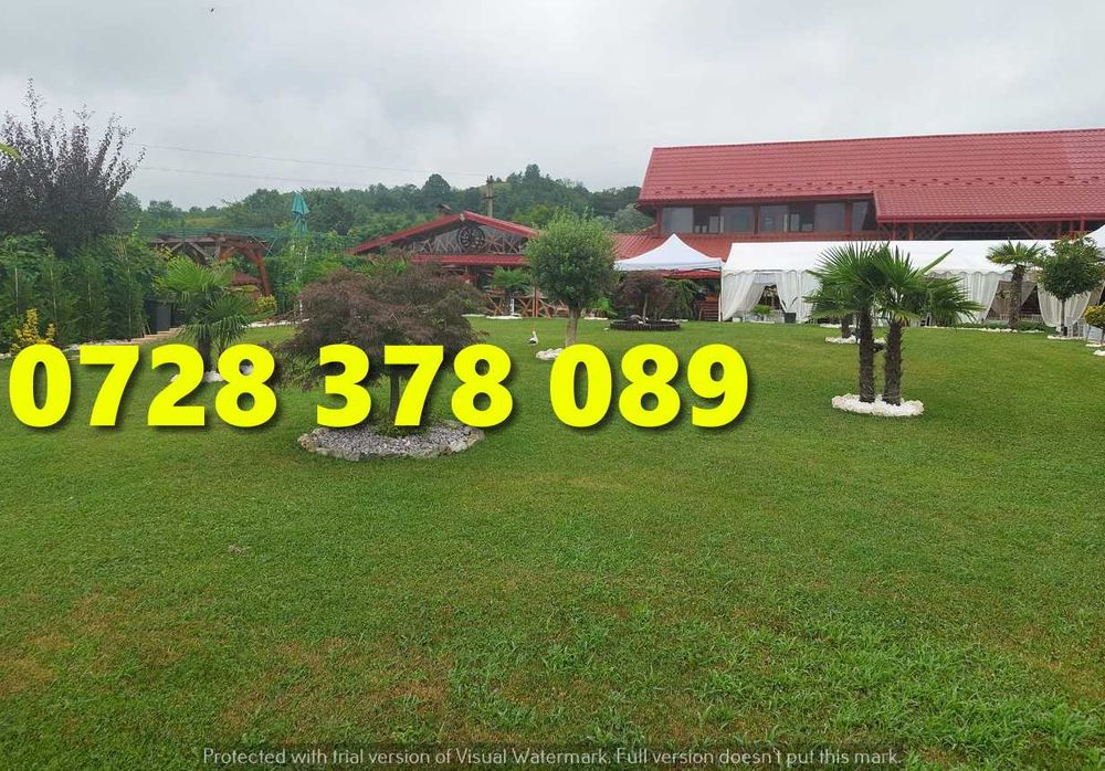 Gazon Rulou Pentru Curtea ta