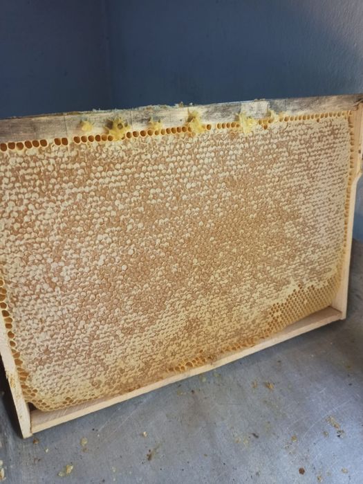 Продам мёд разнотравье